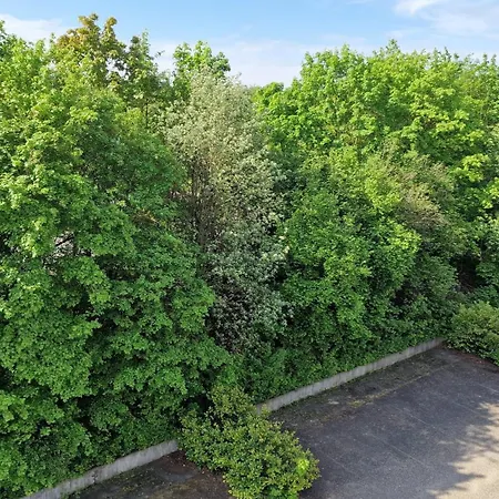 Fortuna Reutlingen-tuebingen 4* Reutlingen