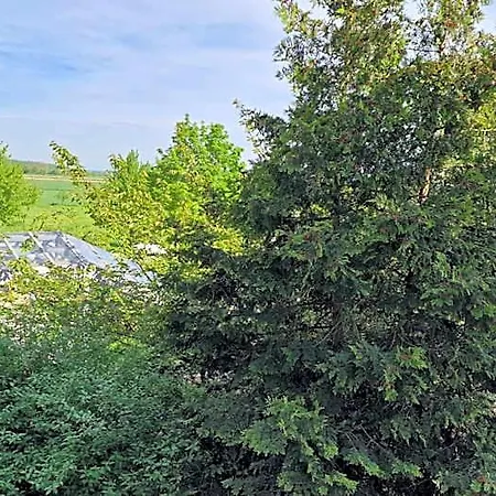 Fortuna Reutlingen-tuebingen